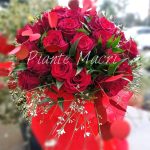 bouquet rose rosse