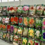 629323555_1410905657714646_4313047564895354704_n