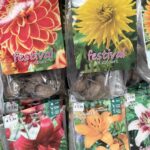 629323945_1410905647714647_4721066004739321025_n