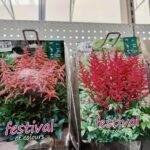 630655400_1410905667714645_8080573373879352830_n