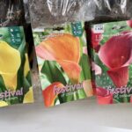 630833531_1410905524381326_5562276302299389359_n