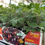 WhatsApp Image 2026-03-10 at 13.16.39 (1)