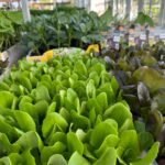 WhatsApp Image 2026-03-10 at 13.16.39 (2)